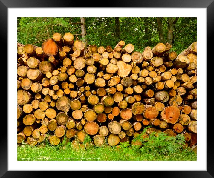 Cut-to-length logging Framed Mounted Print by Darrell Evans