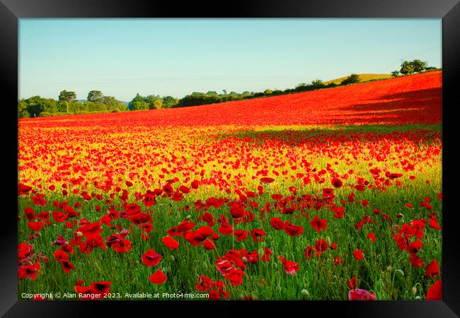 Poppy Field Framed Print by Alan Ranger