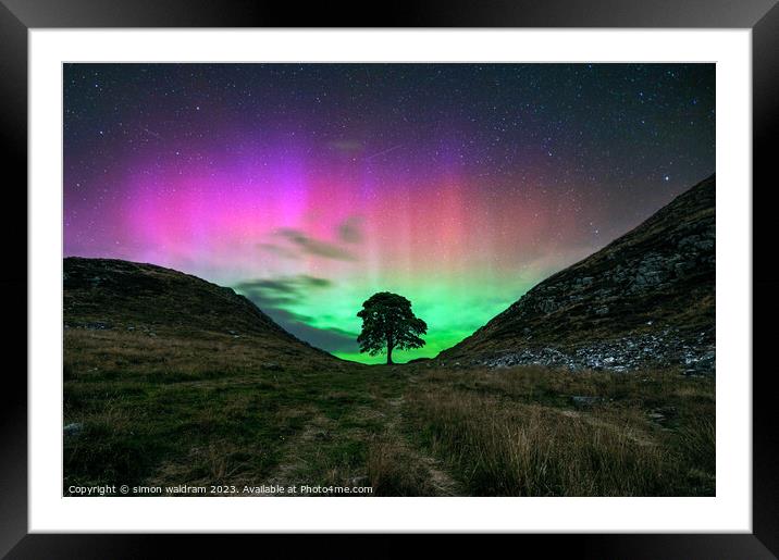 sycamore gap tree Framed Mounted Print by simon waldram