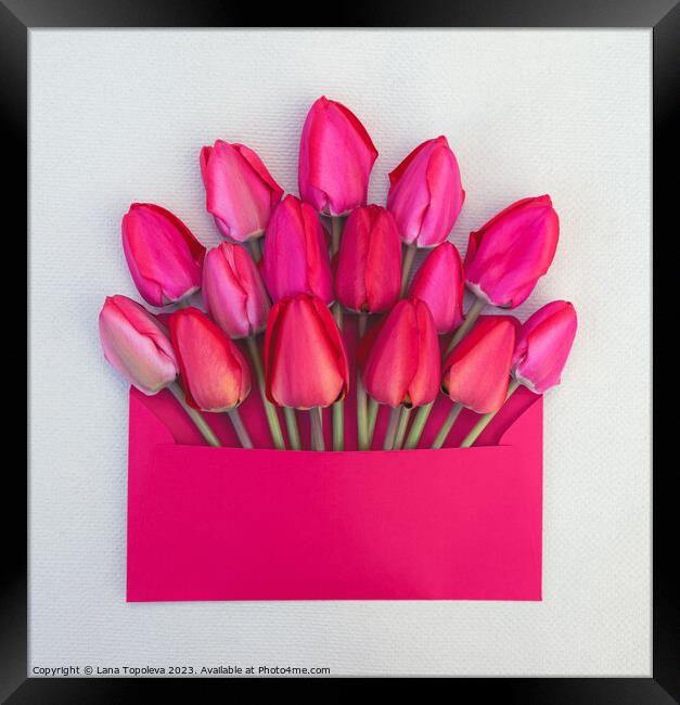 bouquet of  pink and red tulips in an envelope Framed Print by Lana Topoleva