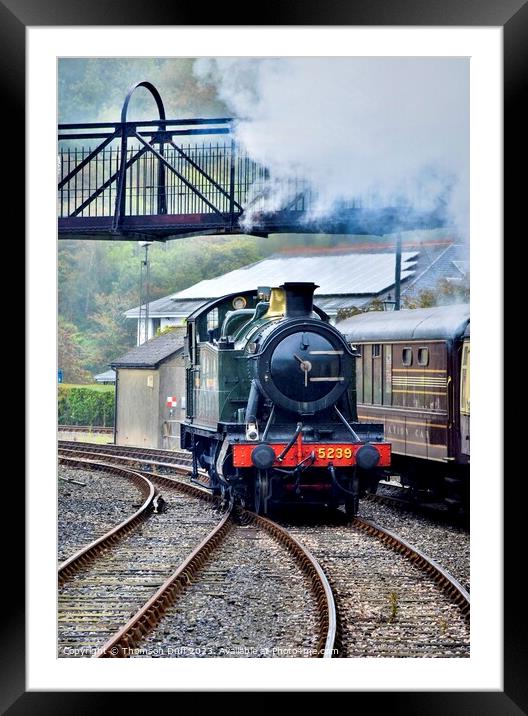 Steam train Kingswear Framed Mounted Print by Thomson Duff