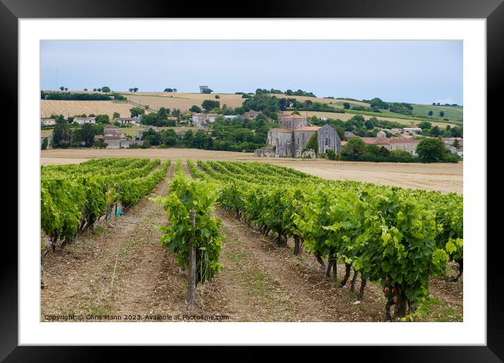 French Abbey in Charente with vineyards Framed Mounted Print by Chris Mann