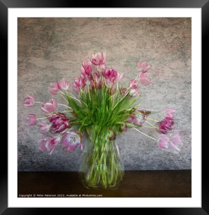 Vase of Tulips Framed Mounted Print by Peter Paterson
