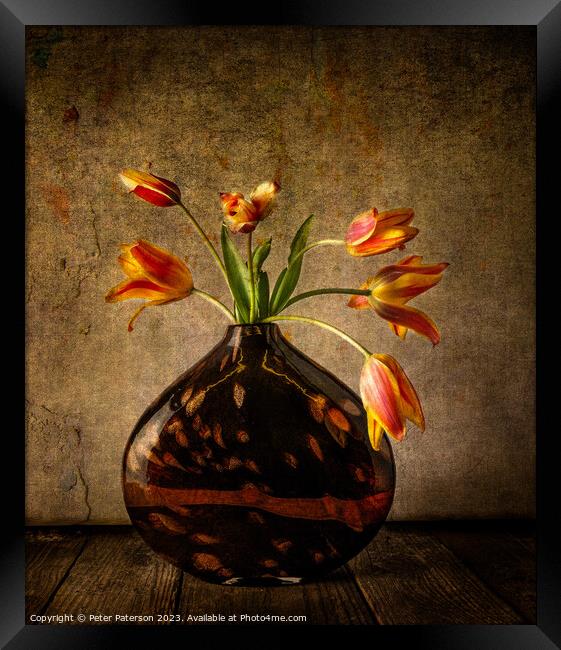 Tulips in Vase Framed Print by Peter Paterson