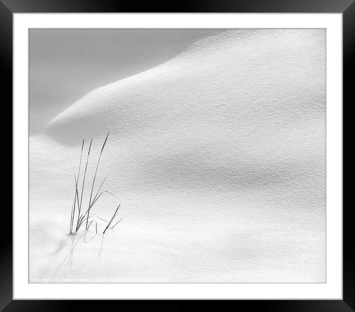 Grasses in Snow Framed Mounted Print by Peter Paterson