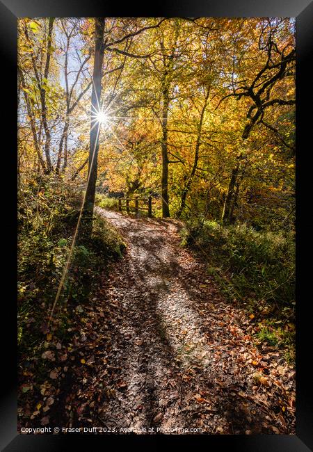 Autumn Walk at New Lanark, Scotland Framed Print by Fraser Duff