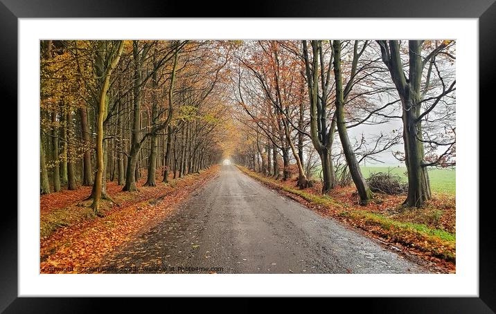 Scottish Country Road  Framed Mounted Print by Lowercase b Studio 
