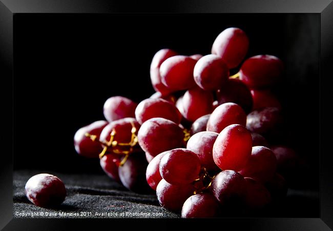 Red Grapes Framed Print by Dave Menzies