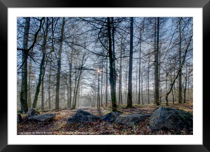 Frosty Misty Wentwood Forest in the Winter Framed Mounted Print by Terry Brooks
