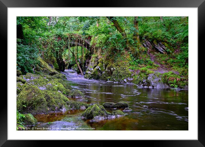 Penmachno Roman Bridge Framed Mounted Print by Terry Brooks