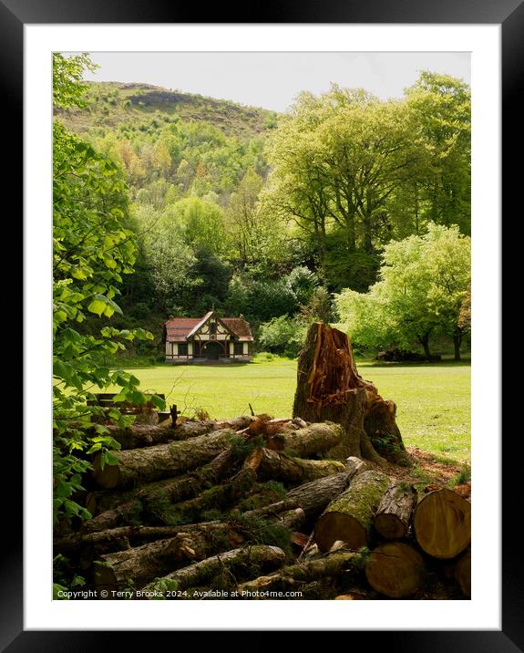 Cabin in the Woodland Framed Mounted Print by Terry Brooks