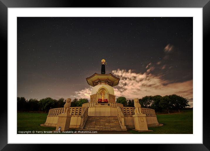 Peace Pagoda Night Sky Framed Mounted Print by Terry Brooks