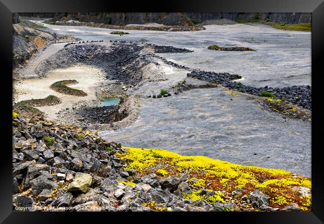 Quarry Floor Framed Print by Matt Jackson