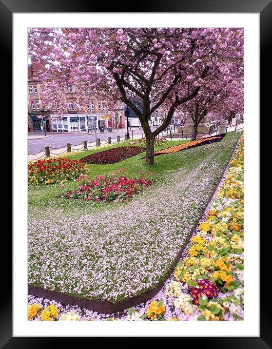 Fabulous Floral Display in Barnsley Framed Mounted Print by Peter Lewis