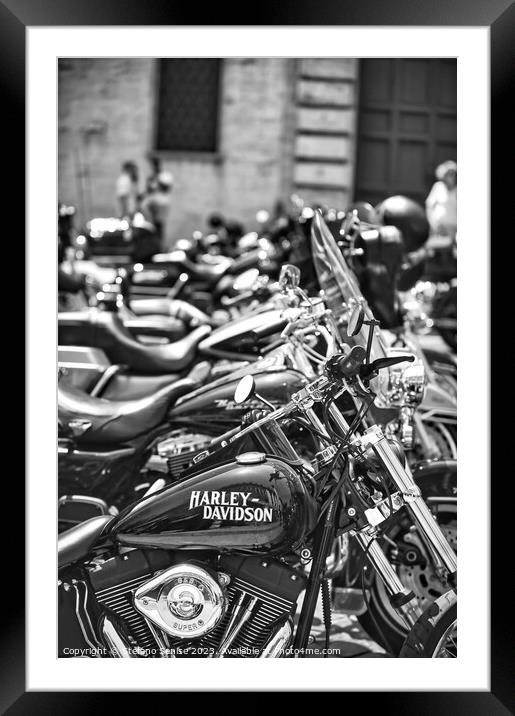 Row of parked Harley motorcycles Framed Mounted Print by Stefano Senise