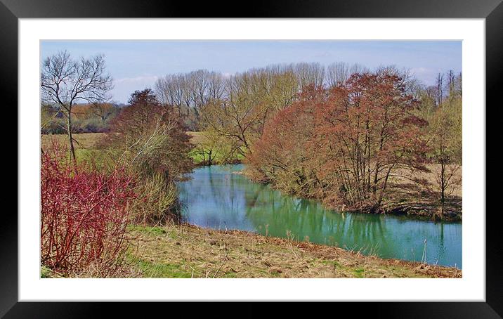 River Avon spring 2013 Framed Mounted Print by D'Arcy Barrett