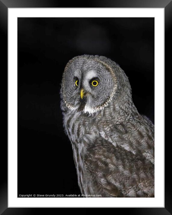 Great grey owl: A silent sentinel of the north. Framed Mounted Print by Steve Grundy