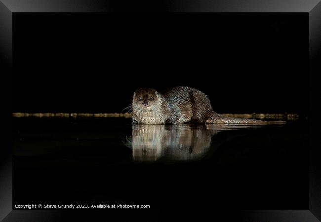 The Mysterious Otter Glimpse Framed Print by Steve Grundy