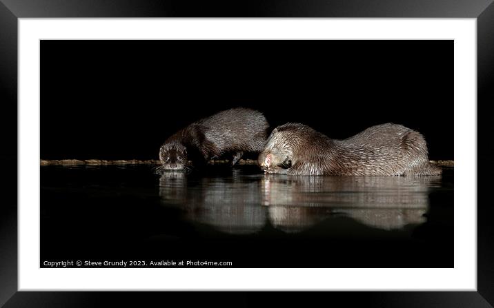 Otters at night: A river's secret dancers. Framed Mounted Print by Steve Grundy