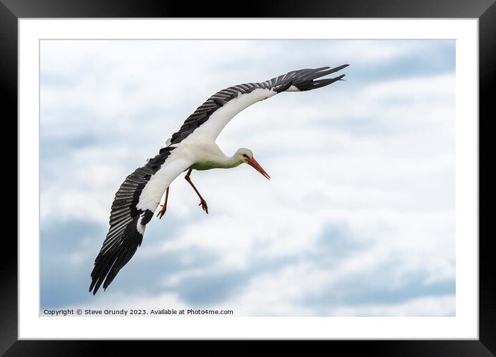 Graceful Stork in Flight Framed Mounted Print by Steve Grundy