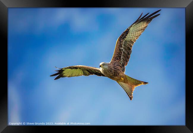 Acrobatic Red Kite Framed Print by Steve Grundy