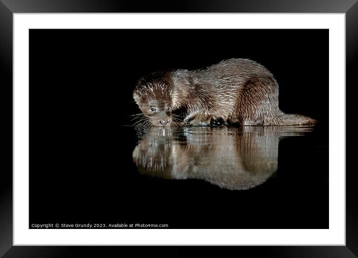Otter Caught in the Act Framed Mounted Print by Steve Grundy
