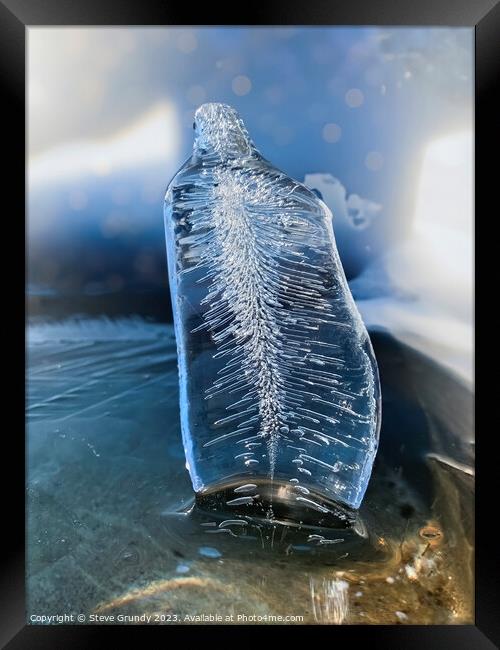 Ice Fan  Framed Print by Steve Grundy