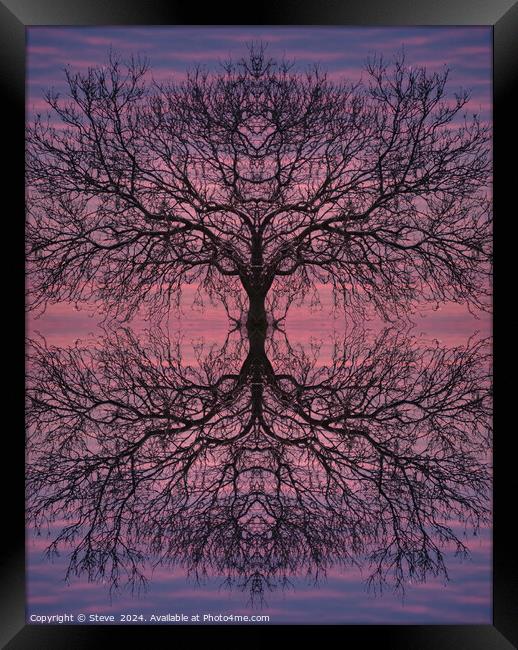 Sunset Art Tree Framed Print by Steve 