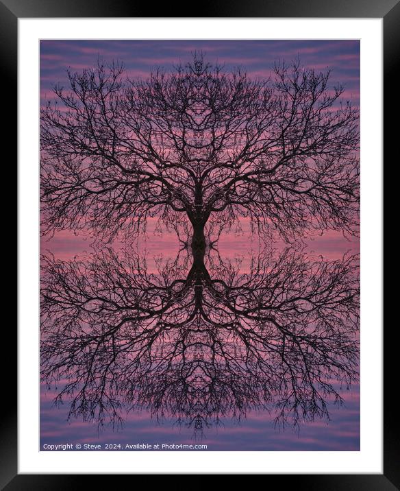 Sunset Art Tree Framed Mounted Print by Steve 