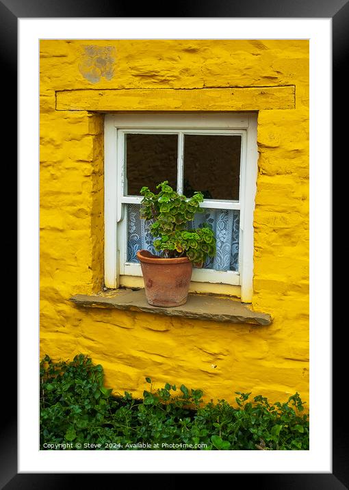 Flowerpot on Windowsill Surrounded by Vibrant Yellow Wall, Mucross, Killarney, Country Kerry, Ireland Framed Mounted Print by Steve 