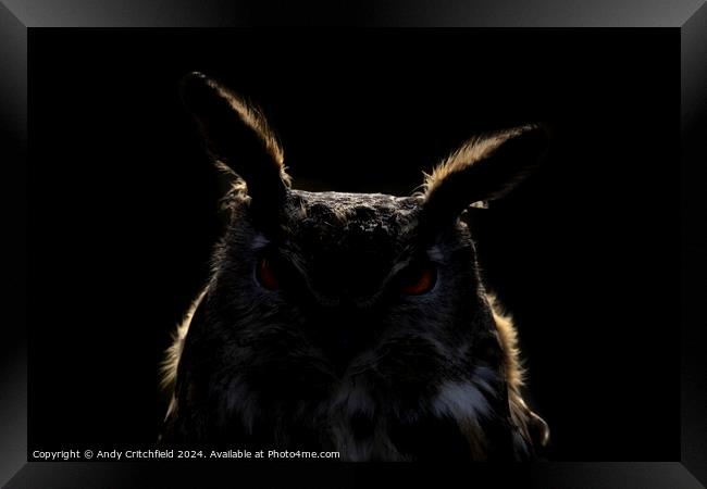An Eagle Owl looking at the camera Framed Print by Andy Critchfield