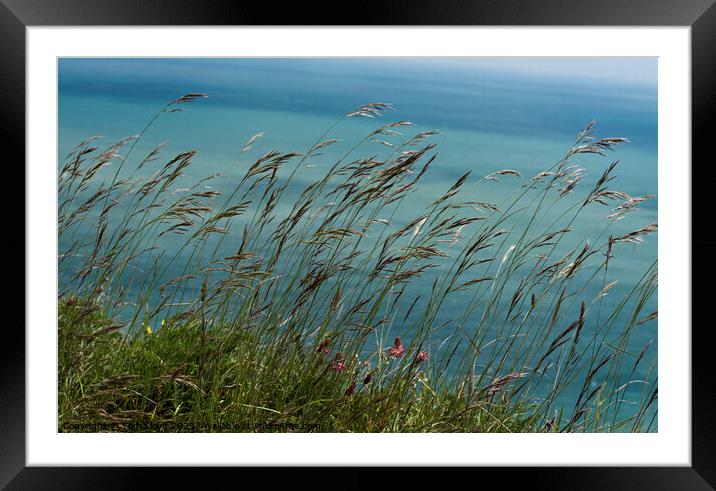 In the Wind Framed Mounted Print by Tom Lloyd