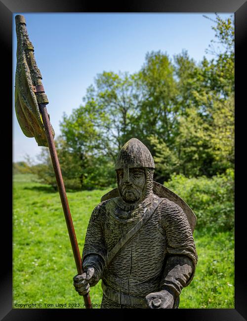 Standard Bearer Framed Print by Tom Lloyd