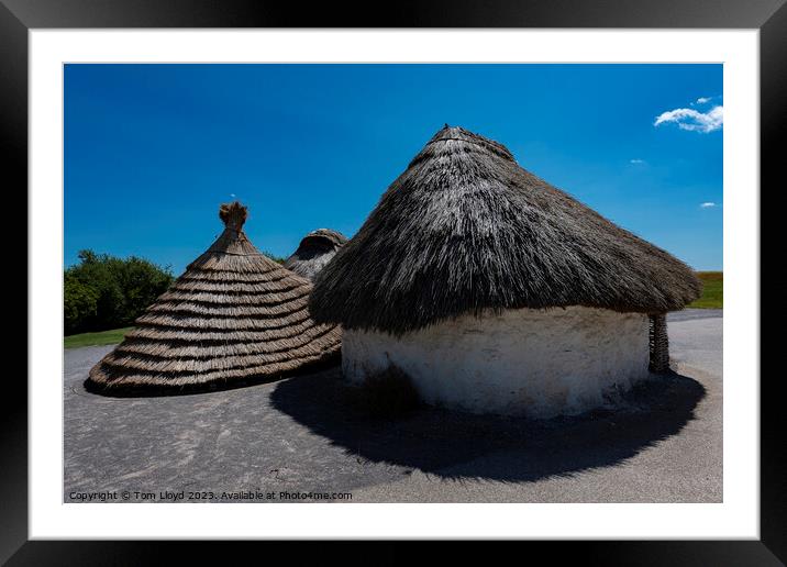 Neolithic Houses Framed Mounted Print by Tom Lloyd