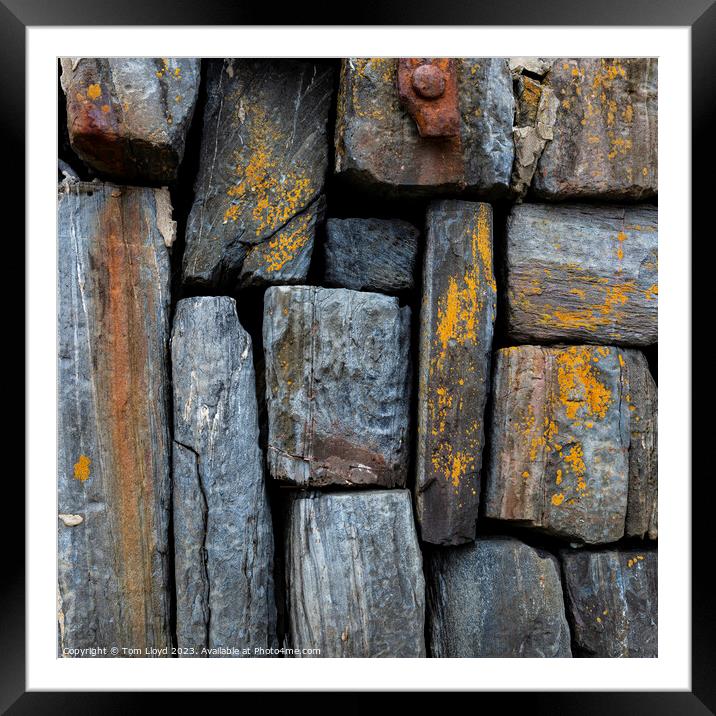 Harbour Wall Framed Mounted Print by Tom Lloyd