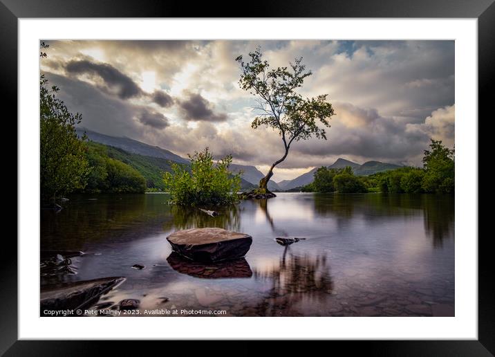 The Lone Tree of LLyn Padarn Framed Mounted Print by Pete Mainey