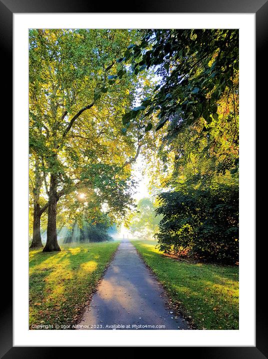 Path To The Light Framed Mounted Print by Igor Alifanov