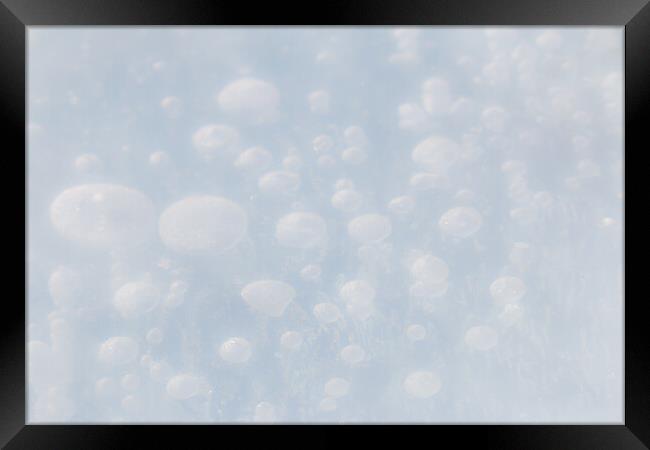 Ice Bubbles Framed Print by Alex Fukuda