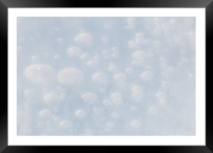Ice Bubbles Framed Mounted Print by Alex Fukuda