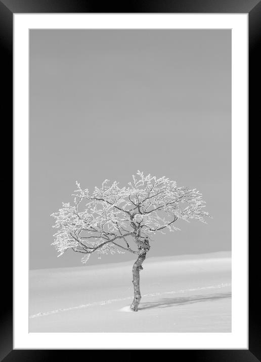 Lonesome Trail Framed Mounted Print by Alex Fukuda