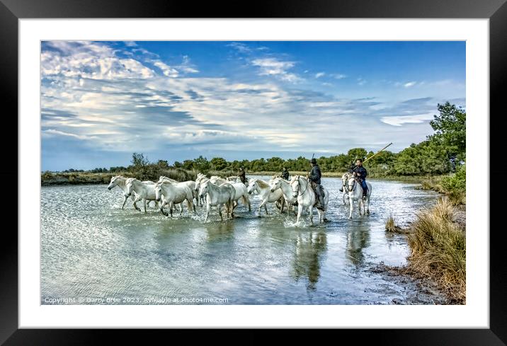 Dazzling Camargue Equines in Motion Framed Mounted Print by Garry Bree