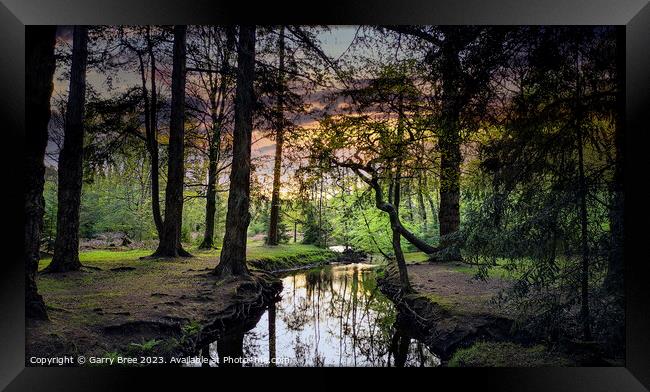 New Forest Sunset, UK Framed Print by Garry Bree