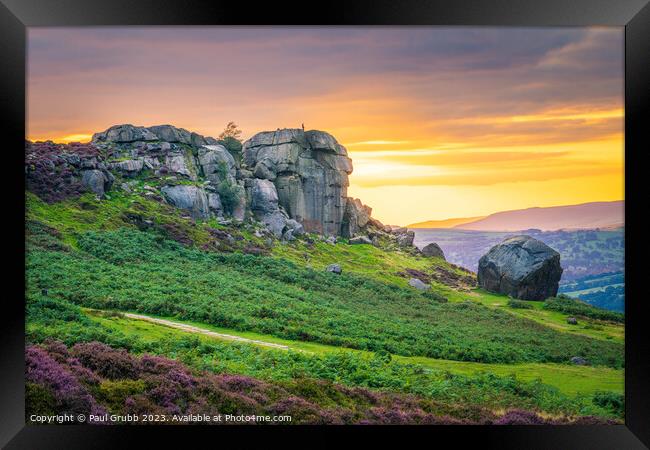 Ilkley Cow and Calf Sunset Framed Print by Paul Grubb
