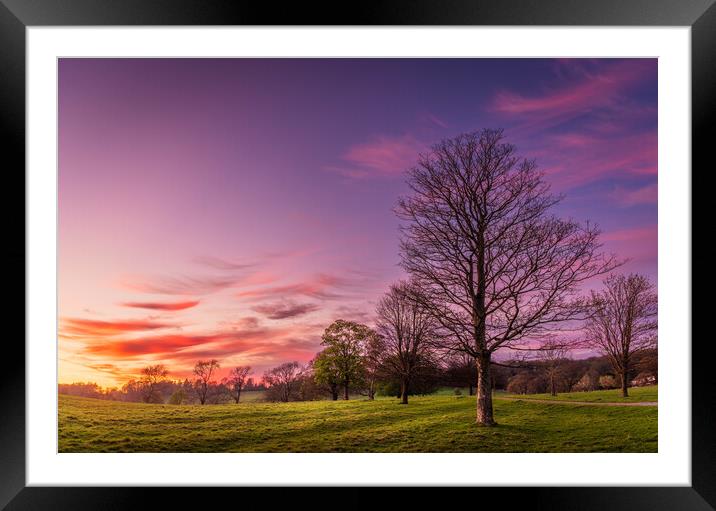 Purple Sunset over Wharfedale Framed Mounted Print by Paul Grubb