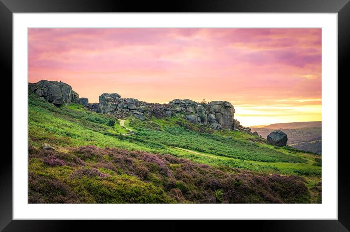 Cow and Calf Red Sky Panorama Framed Mounted Print by Paul Grubb
