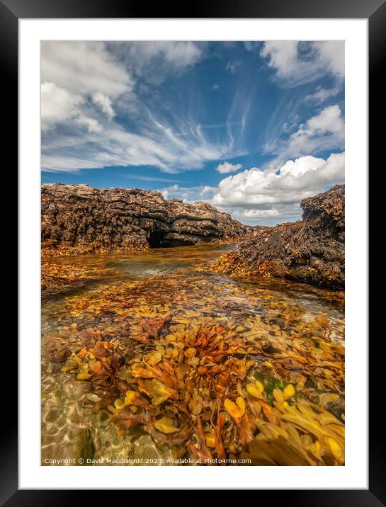 Seaweed & Sky, Anglesey, North Wales  Framed Mounted Print by David Macdiarmid