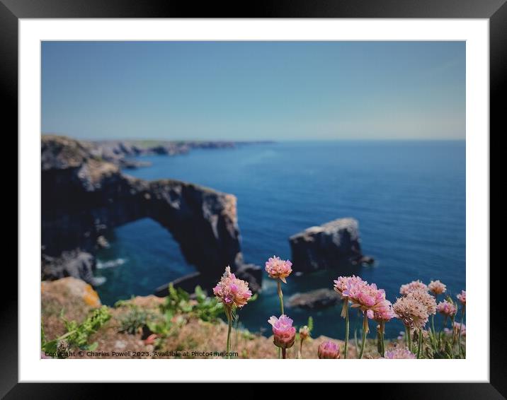 Pembrokeshire Green Bridge Framed Mounted Print by Charles Powell