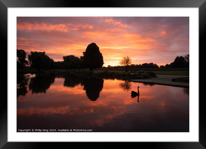 Sunrise at Bushy Park Framed Mounted Print by Philip King