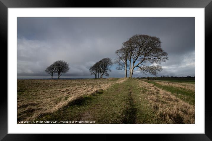 Trees on Roundway Hill, Wiltshire Framed Mounted Print by Philip King