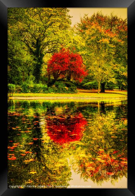 Autumnal Tranquility: St Stephen's Green, Dublin Framed Print by Fabrice Jolivet